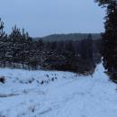 Snowy path - panoramio